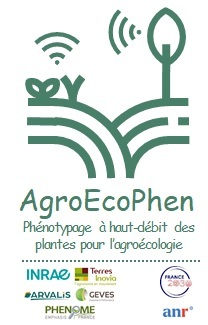 AgroEcoPhen