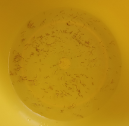 Exemple de bonne r&eacute;solution