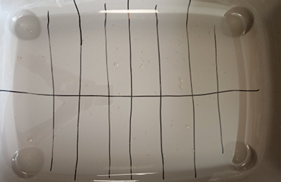 Exemple de berl&egrave;se analys&eacute;e