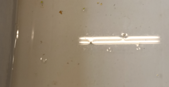 Exemple de photo correcte