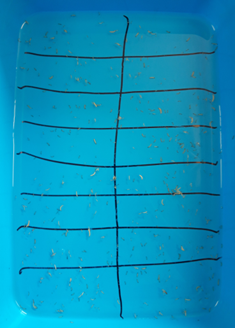 Exemple de cuvette bleue